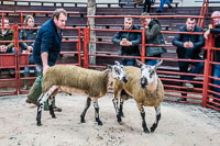 Longtown Ram Fair-24